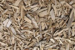 biomass boilers Cutiau