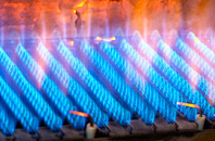 Cutiau gas fired boilers